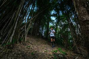 BIB: 
                            <button type="button" onclick="openModal(19395490)" class="btn btn-primary btn-sm float-right btn-popup" data-toggle="modal" data-target=".modal-high-quality">
                        <i class="fas fa-shopping-cart"></i> Add to Cart
                    </button>
                                            <button type="button" onclick="isThisMe(19395490, true)" class="btn btn-success btn-sm float-right btn-popup btn-isme hidden" data-toggle="tooltip" data-placement="bottom" title="นี่คือรูปของคุณใช่ไหม คลิกที่นี่เพื่อเอาเข้าอัลบั้ม">
                        <i class="fas fa-plus"></i> Add to album
                    </button>
                    <button type="button" onclick="isThisMe(19395490, false)" class="btn btn-warning btn-sm float-right btn-popup btn-isnotme hidden">
                        <i class="fas fa-ban"></i> Remove from album
                    </button>